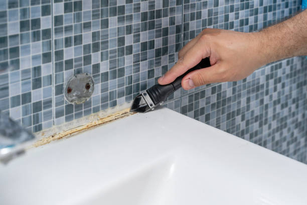 Best Mold Remediation for Specific Building Types in El Mirage, AZ